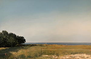 Image of the painting Habitat: Edge of Peconic Bay by Adam Straus.